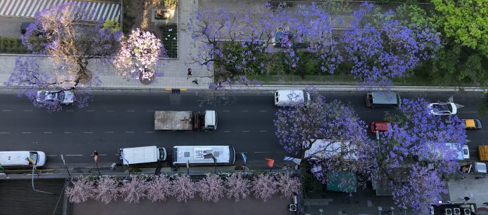 Cecilia Solari poesía línea