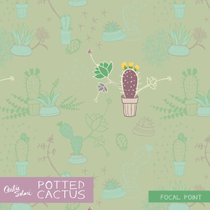 Cecilia Solari Cactus and Succulents
