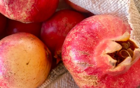 Cecilia Solari Granadas