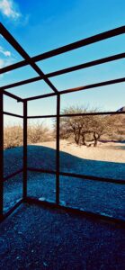 CECILIA SOLARI - Rémora