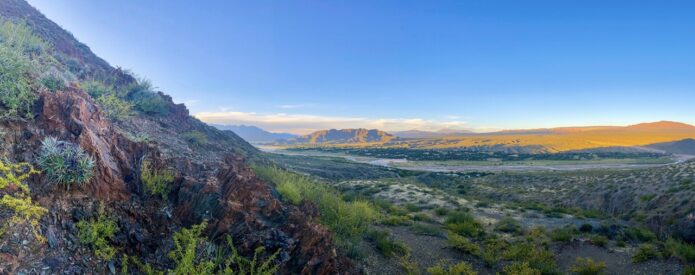 CECILIA SOLARI - Panorámico