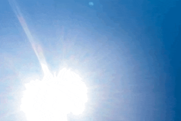 CECILIA SOLARI - por qué no?