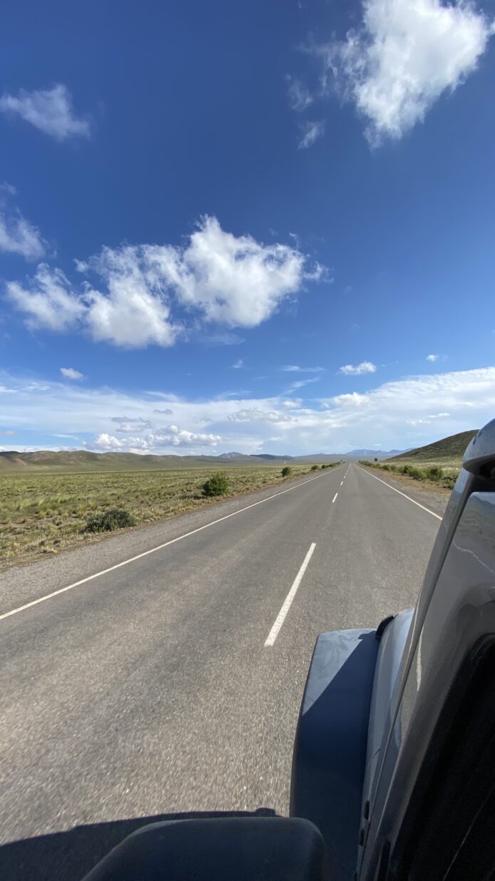 CECILIA SOLARI - Perspectiva