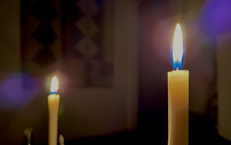 Poesía Insomnis - Cecilia Solari